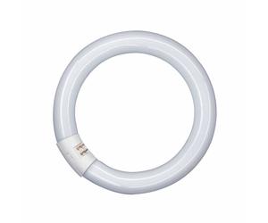 OSRAM G10q 22W 865 Lumilux T9C anello fluorescente Osram