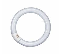 OSRAM G10q 40W 840 Lumilux T9C circolare fluorescente Osram