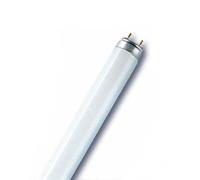 OSRAM G13 T8 36W Fluora per piante Osram