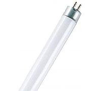 Osram Illuminazione di Sicurezza (Basic) T5 Corta, lampade Fluorescenti, G5L 6 W/640 El G5, Bianco, 1 Unità (Confezione da 1)