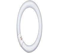 Osram L 40W/865 C G10Q