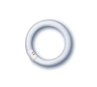 Osram LUMILUX C-T9 Tubo Fluorescente 865 Luce Diurna 22W G10q