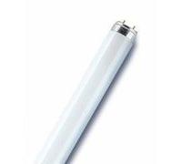 Osram lampada biolux 58w/72 solare T8 6500k 150cm