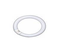 Osram - Lampada fluorescente ad anello L 22 Watt, luce bianca calda (827), 26 mm