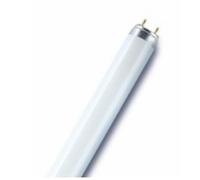 OSRAM LAMPADA FLUORESCENTE DELUX NATURAL L3076