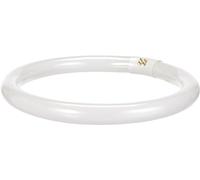 OSRAM G10q 32W 840 Lumilux T9C circolare fluorescente Osram