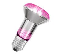 OSRAM Lampada per piante LED Star con filamento e 7,5 W / 140 lm, attacco E27, con luce bianca calda a 1300 Kelvin che consente alle piante di prosperare. Non è dimmerabile ed è alto 63 mm.