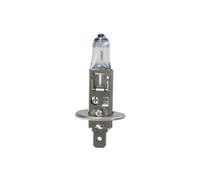 12V Night Breaker Plus - H1 - 55W - P14,5s - 1 pz - Blister