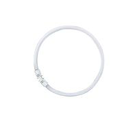 Osram Lumilux T5 FC 2Gx13 22 W/840 Lampada fluorescente