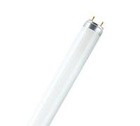Osram Lumilux T5 Short 8 W G5 T5 10000 h 430 lm Bianco 4008321067241