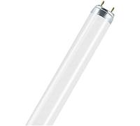 Osram NATURA lampada fluorescente 36 W G13 Bianco neutro