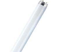 Osram,Osram L 18 Watt Lampada fluorescente 840 25 Pezzi