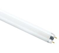 Osram,Osram L18 W fluorescente 18 W G13 A