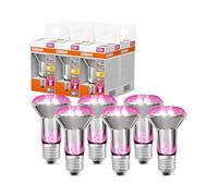 Osram per piante LED Star con filamento e 7,5 W / 140 lm, attacco E27, con luce bianca calda a 1300 Kelvin che consente alle piante di prosperare, non dimmerabile, larghezza 63 mm, confezione da 6