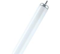 Osram XL-Type T12 Fa6 L 20 W/640 Lampada fluorescente