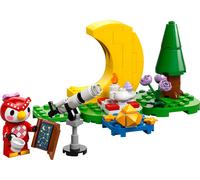 LEGO® Animal Crossing™ 77053 Osservando le stelle con Celeste