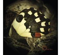 Ossicles - Music For Wastelands (2 LP)