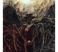 Ossuary Insane - Demonize The Flesh