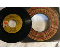 OST (inc. Carpenters) - BLESS THE BEASTS AND CHILDREN/SUPERSTAR 45/7"
