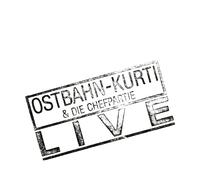 Ostbahn-Kurti & die Chefpartie – Live – Vinile – Sony