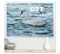 Ostsee - Urlaubsgefühl (hochwertiger Premium Wandkalender 2026 DIN A2 quer), Kunstdruck in Hochglanz: Traumreise an das deutsche Binnenmeer