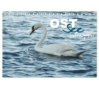 Ostsee - Urlaubsgefühl (Tischkalender 2026 DIN A5 quer), CALVENDO Monatskalender: Traumreise an das deutsche Binnenmeer