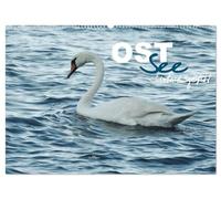 Ostsee - Urlaubsgefühl (Wandkalender 2026 DIN A2 quer), CALVENDO Monatskalender: Traumreise an das deutsche Binnenmeer