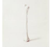 Restructure 2 - Mortiz Von Oswald Trio (Vinile)