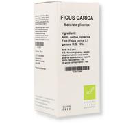 OT.FICUS CARICA 100ML MG