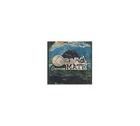 Ota Mate - OCEANISM