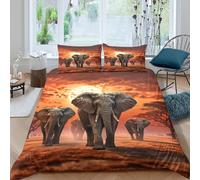 OTBSDNKZZ African elephantsSet Di Copripiumino ultra microfibra 3 Pezzi stampa 3D con cerniera Safari wildlife scene copripiumino incluso federe aiosa ultra morbido for ragazze Super king（260x220cm）