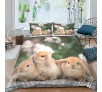 OTBSDNKZZ cute bunniesSet Di Copripiumino microfibra 3 Pezzi stampa di 3D con cerniera fluffy pet style copripiumino con federe traspirante ultra morbido for coppie Super king（260x220cm）