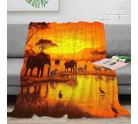 OTBSDNKZZ stampa 3D AfricanSafari coperta da viaggio microfibra biancheria da letto anti-pilling plaid da viaggio compatto per giovani in viaggio avventura WildlifeArtStyle 50x60inch(127x152cm)