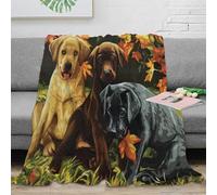 OTBSDNKZZ stampa 3D Autumn cuccioli coperta da viaggio microfibra biancheria da letto leggera coperta da riposo morbida per giovani in viaggio studio Painting dogs 70×80inch(180x200cm)