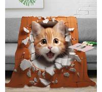 OTBSDNKZZ stampa 3D breaking wall coperta per tutte le stagioni microfibra biancheria da letto versatile coperta in pile morbida per studenti fuori sede Digital arte 50x60inch(127x152cm)