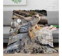 OTBSDNKZZ stampa 3D Desert lizard coperta per tutte le stagioni microfibra biancheria da letto versatile coperta in pile morbida per regali di Natale Natural wildlife 50x60inch(127x152cm)