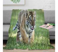 OTBSDNKZZ stampa 3D tiger cub walking coperta in pile microfibra biancheria da letto soffice coperta da salotto calda e traspirante non perde pelo per soggiorno wild animal 60x80inch(150x200cm)