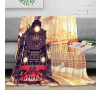 OTBSDNKZZ stampa 3D vintage train coperta termica microfibra biancheria da letto leggera plaid termico non perde pelo per giovani in inverno Steam locomotive 40x50inch(100x130cm)