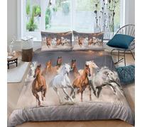 OTBSDNKZZ Wild horses gallopingcopripiumino morbida microfibra 3 pezzi motivo 3D con cerniera Desert sunset Set Di Copripiumino incluso federe aiosa morbida for ragazzi Super king（260x220cm）