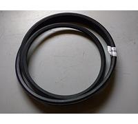 Other AA85 - Cinghia esagonale per Castel Garden, Honda, Iseki, Viking