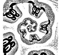 otherworld - otherworld-mad wee light lp