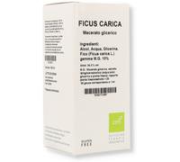 oti Ficus carica macerato glicerico 10% gocce 100ml