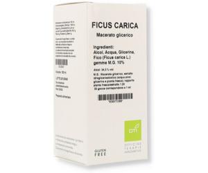 oti Ficus carica macerato glicerico 10% gocce 100ml