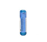 NUX VOMICA*200CH DOSE 1G