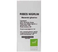 Oti - Ribes Nigrum M.G. Integratore Alimentare Benessere Generale Confezione 100 Ml