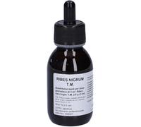 oti Ribes nigrum t.m.100ml