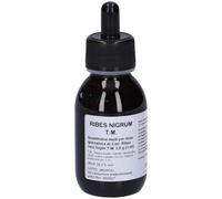 Oti Ribes Nigrum Tintura Madre Gocce 100 ml