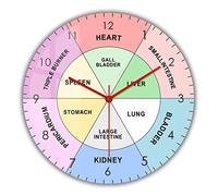 OTKU 30cm Orologio da Parete Moderno Organo cinese TCM Body Clock Medicina tradizionale cinese Design moderno Orologio da parete Cicli energetici per la salute e la guarigione Opere d'arte