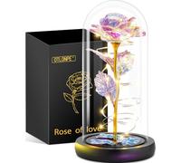 Otlonpe Rosa Eterna, Rosa Bella e la Bestia, Rosa in Vetro con Rosa,Idee Regalo Donna Compleanno,Regali Festa Della Mamma, Idee Regalo Mamma San Valentino, Anniversario, Regali per Lei