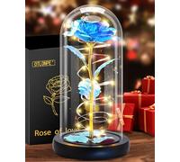 Otlonpe Rosa Eterna, Rosa Bella e la Bestia, Rosa in Vetro con Rosa Led Luci,Idee Regalo Donna Compleanno,Regali Festa Della Mamma, Idee Regalo Mamma San Valentino, Anniversario, Regali per Lei